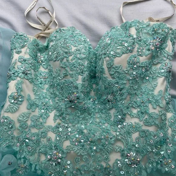 Morilee Vizcaya Quinceanera Corset Fairytale Dress Ball Gown 89174 *Note Cond - Picture 6 of 15